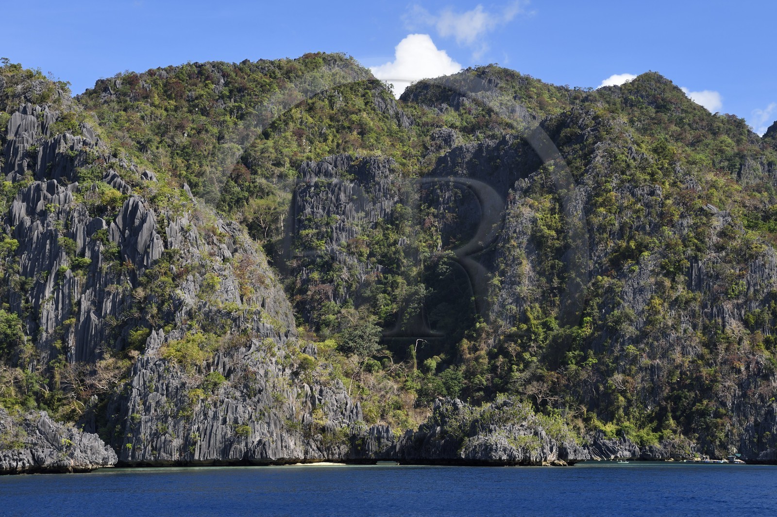 Philippines, Calamian Islands dans le nord de Palawan, Coron Island Natural Biotic Area, murs géants des falaises de calcaire du Permien d'origine jurassique