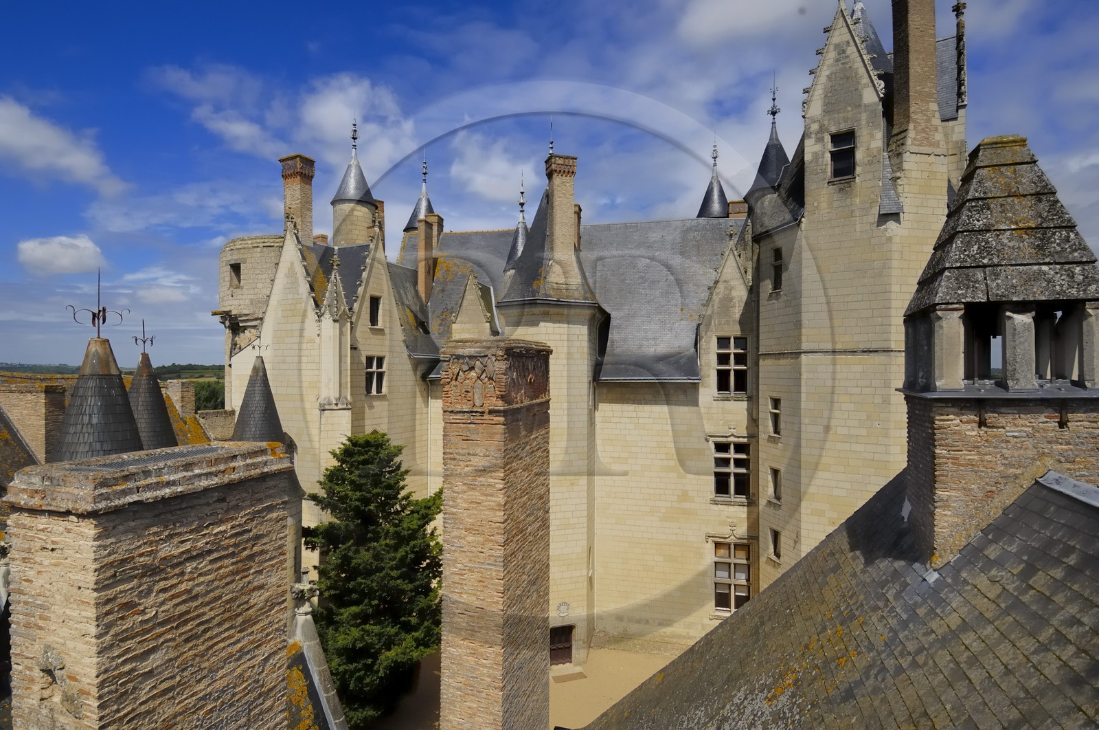 France, Maine et Loire (49), château de Montreuil-Bellay