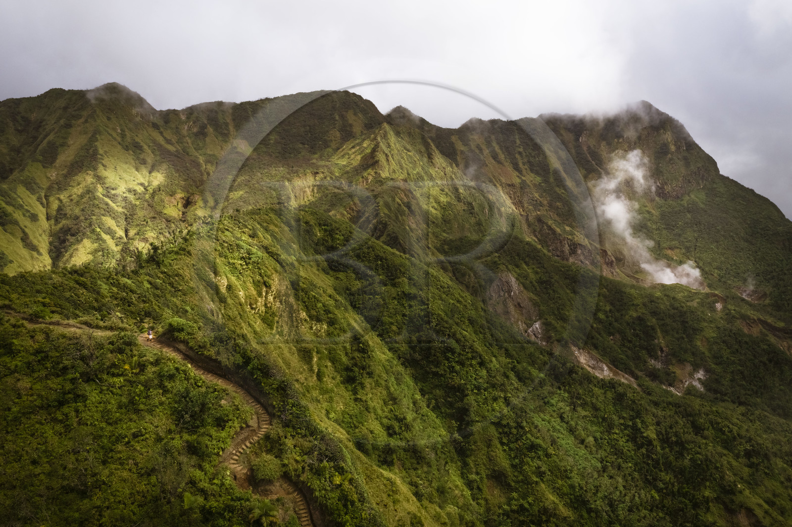 Caraïbes, Ile de la Dominique, Castle Bruce, Parc national du Morne Trois Pitons classé Patrimoine Mondial de l'UNESCO, la forêt tropicale autour du Boiling Lake dont on voit les vapeurs (vue aérienne)