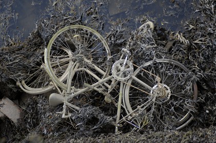 Irlande, Dublin, quartier populaire des anciens docks
