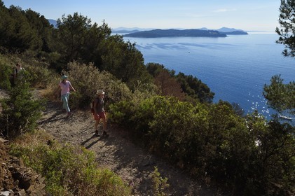 France, Var (83), La Seyne-sur-Mer, randonnée dans le massif du Cap Sicié le long du chemin du Joncquet en contrebas de la Corniche Merveilleuse, la presqu'Ile de Saint-Mandrier en arrière plan