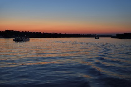 Zimbabwe, province de Matabeleland septentrional, Victoria Falls, croisière sur le fleuve Zambèze en amont des chutes Victoria