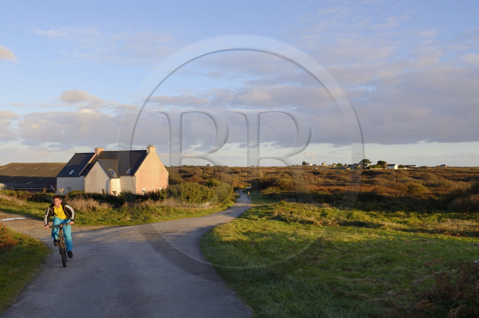 France, Finistère (29), parc naturel régional d'Armorique, mer d'Iroise, Ile d'Ouessant, réserve de Biosphère (UNESCO),