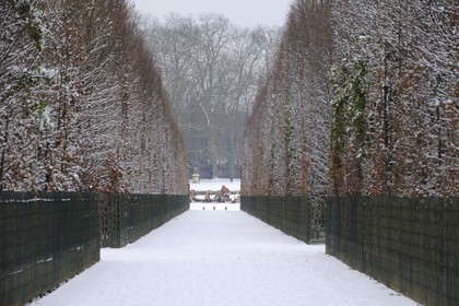 France, Yvelines (78), château de Versailles, classé Patrimoine Mondial de l'UNESCO, le bassin d'Apollon oeuvre de Tuby représente le char d'Apollon maître du Soleil dans l'axe d'une allée