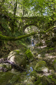France, Vaucluse (84), Dentelles de Montmirail, Sablet, la rivière le Trignon surplombé par l'ancien pont de l'abbaye en ruine de moniales du VIIe siècle dans le vallon de Prébayon