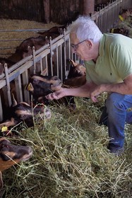 France, Var (83), La Dracénie, village de Châteaudouble, ferme fromagère La Pastourelle