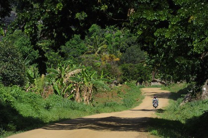 Tanzanie, région de Morogoro, les Monts Uluguru, moto sur la piste de Matombo
