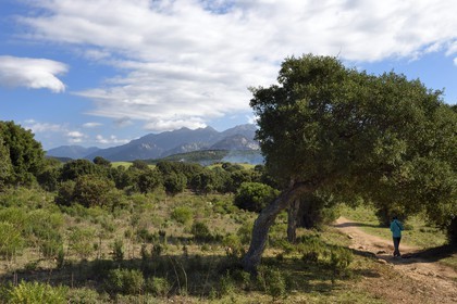 France, Corse-du-Sud (2A), Sartène, site archéologique de Cauria