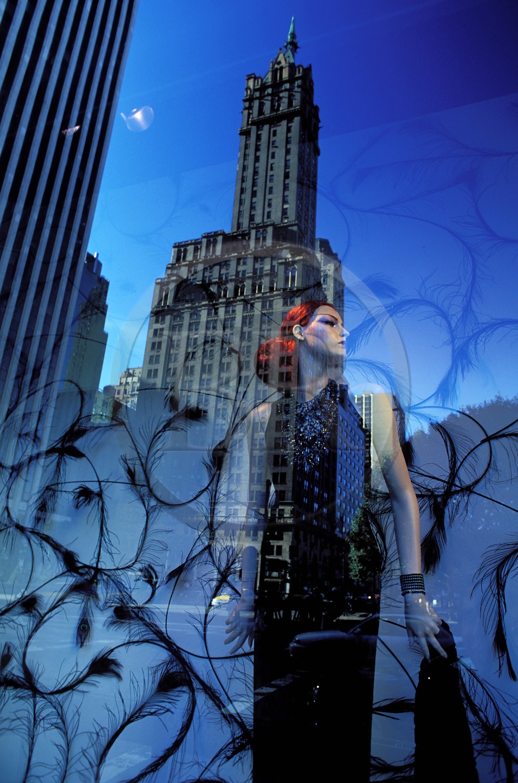 Etats-Unis, New York, Upper Midtown, reflet d'un gratte-ciel dans la vitrine de ìBergdorf Goodman sur la 5ème avenue