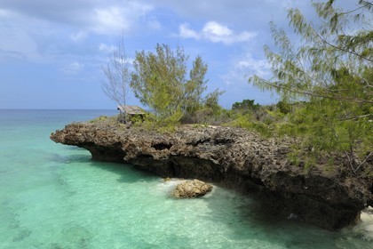 Tanzanie, archipel de Zanzibar, île de Unguja (Zanzibar), côte ouest, plage de la réserve naturelle de Chumbe Island Coral Park à marée haute