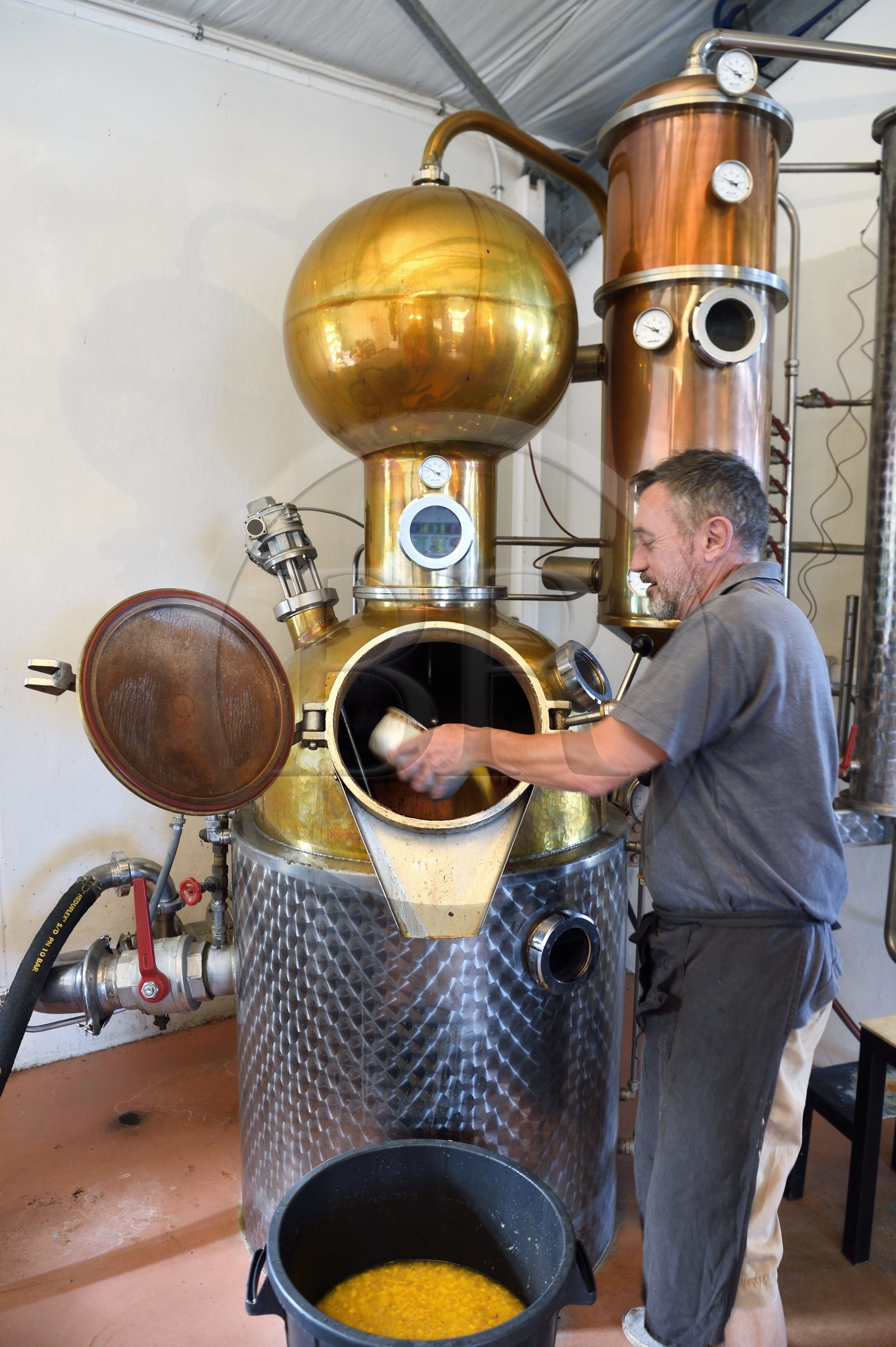 France, Ile de la Reunion, La Saline, La Part des Anges Distillation, remplissage de l'alambic électrique avec l'ananas fermenté pour la triple distillation de l'eau de vie
