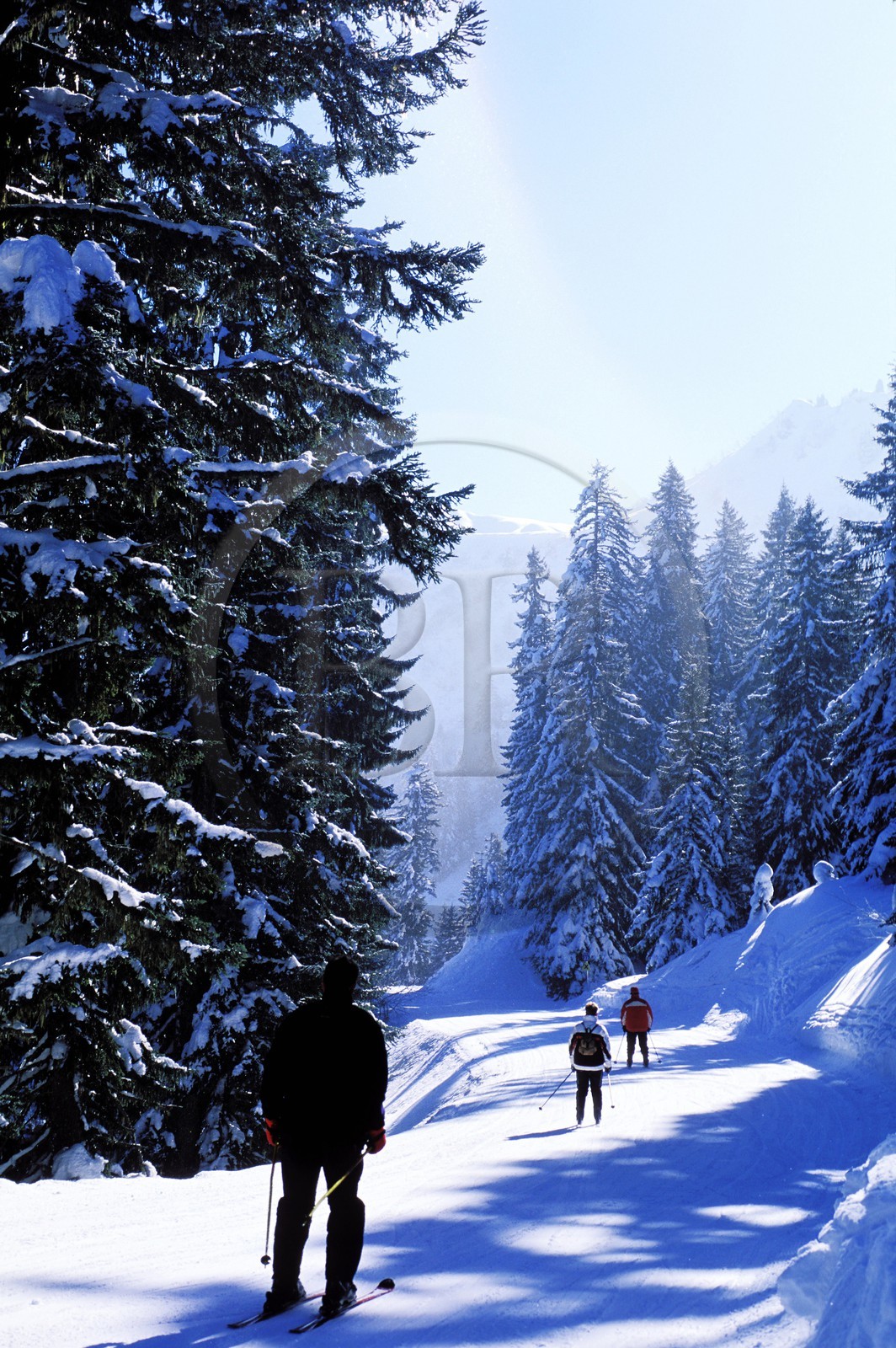 France, Haute-Savoie (74), domaine des portes du soleil, domaine skiable de Morzine