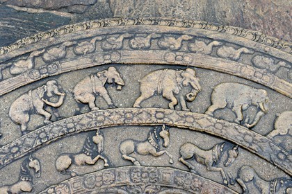 Sri Lanka, province du Centre-Nord, Polonnaruwa, l'ancienne capital du pays (XIe au XIIIe siècle) est classée au Patrimoine Mondial de l'UNESCO, terrasse de la relique de la dent, Vatadage (chambre des reliques), pierre de lune en demi-cercle (sandakada pahana)