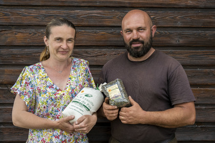 France, Haute-Loire (43), Bouchet-Saint-Nicolas, randonnée avec un âne sur le chemin de Stevenson (GR 70), rencontre avec Emilie et Pierre Villesèche de L'Arrestadou qui cultivent les lentilles vertes du Puy