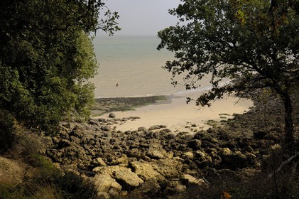 France, Charente-Maritime (17), Ile d'Aix, plage des Sables Jaunes, pêche à la treuille (pour les crevettes)