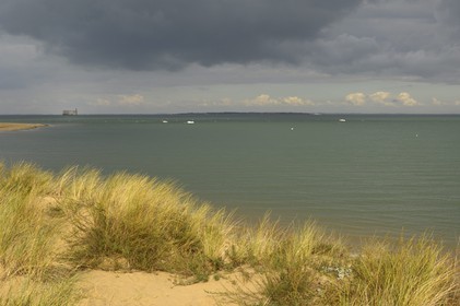 France, Charente-Maritime (17), Ile d'Oléron, plage de Boyardville et Fort Boyard