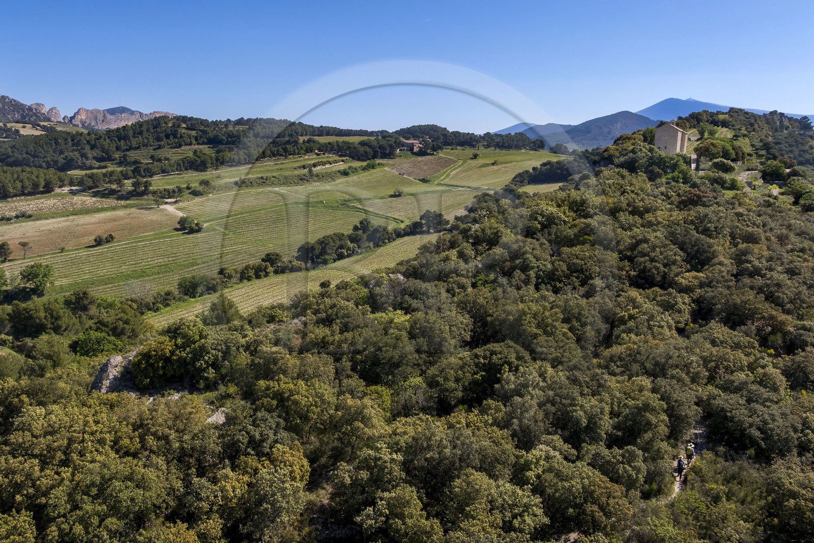 France, Vaucluse (84), Dentelles de Montmirail, Beaumes-de-Venise, randonneurs rejoignant la chapelle Saint-Hilaire dont l'implantation date du VIe siècle sur le plateau des Courens et le Mont Ventoux en arrière plan (vue aérienne)