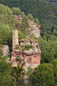 France, Bas-Rhin (67), Parc naturel régional des Vosges du Nord, Obersteinbach, foret domaniale de Steinbach, les ruines du chateau du Petit-Arnsberg perché sur un rocher de grès