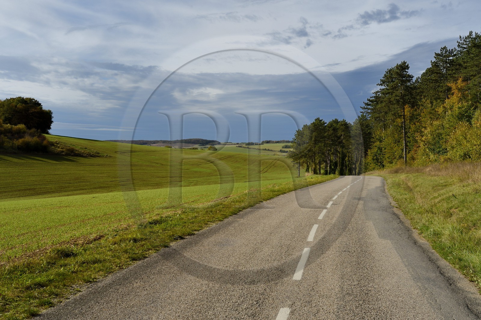 France, Meuse (55), région de Verdun, la route départementale D913B