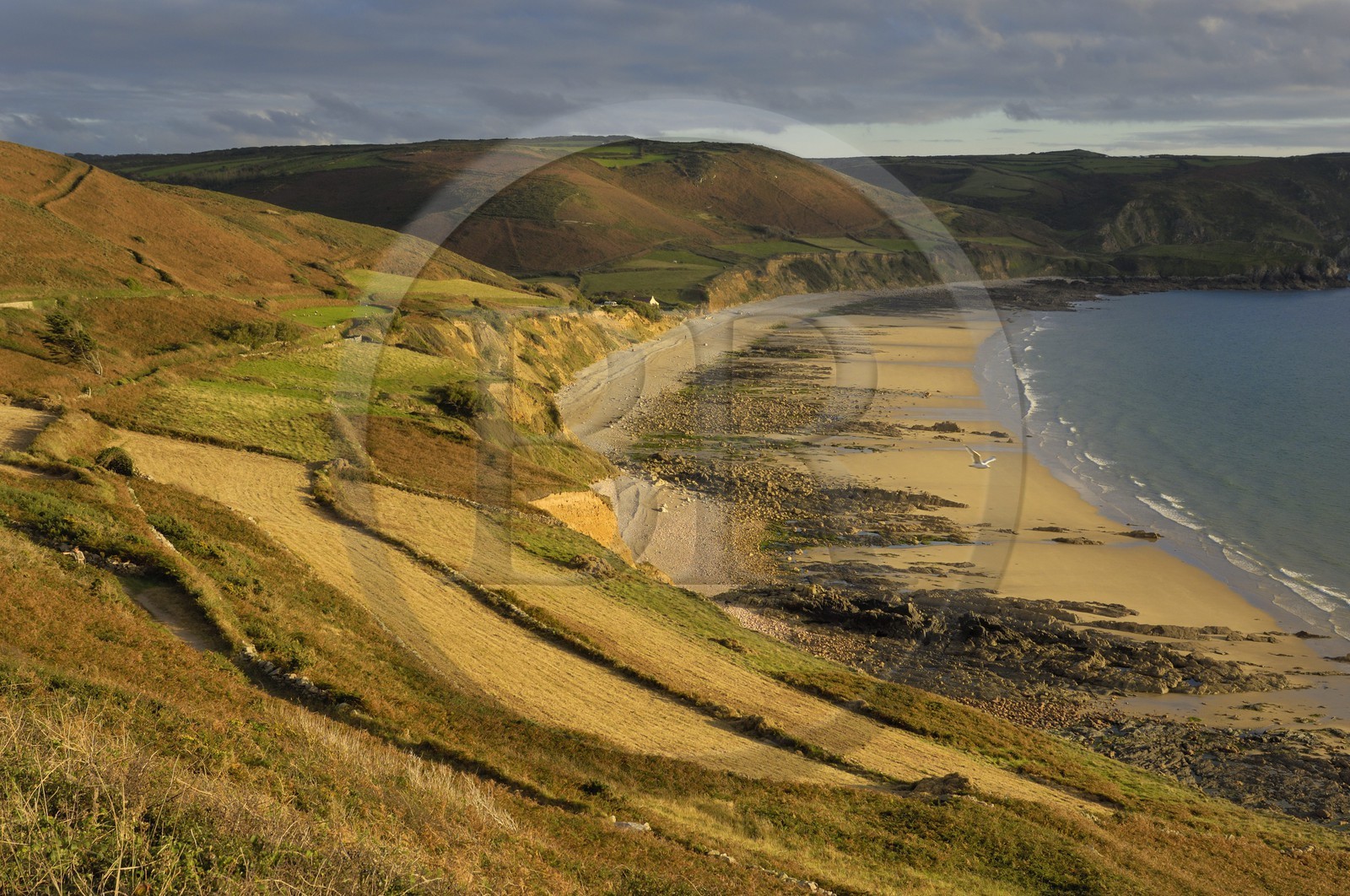 France, Manche (50), Cap de la Hague, baie d'Ecalgrain