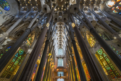 Espagne, Catalogne, Barcelone, quartier de l'Eixample, basilique de la Sagrada Familia de l'architecte du modernisme catalan Antoni Gaudi classée Patrimoine Mondial de l'UNESCO, la facade de la Gloire vue de l'intérieur et la voute de la Nef en haut