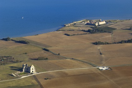 France, Charente-Maritime (17), ile de Ré, abbaye des Châteliers et le Fort de la Prée au sud de La Flotte (vue aérienne)