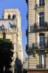 France, Paris (75), Ile de la Cité, cathédrale Notre-Dame de Paris, façade nord