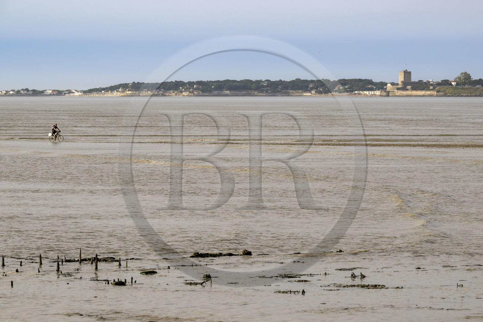 France, Charente-Maritime (17), Port-des-Barques, cycliste empruntant le tombolo de la Passe aux Boeufs qui relie le continent à l'Ile Madame à marée montante en arrière plan