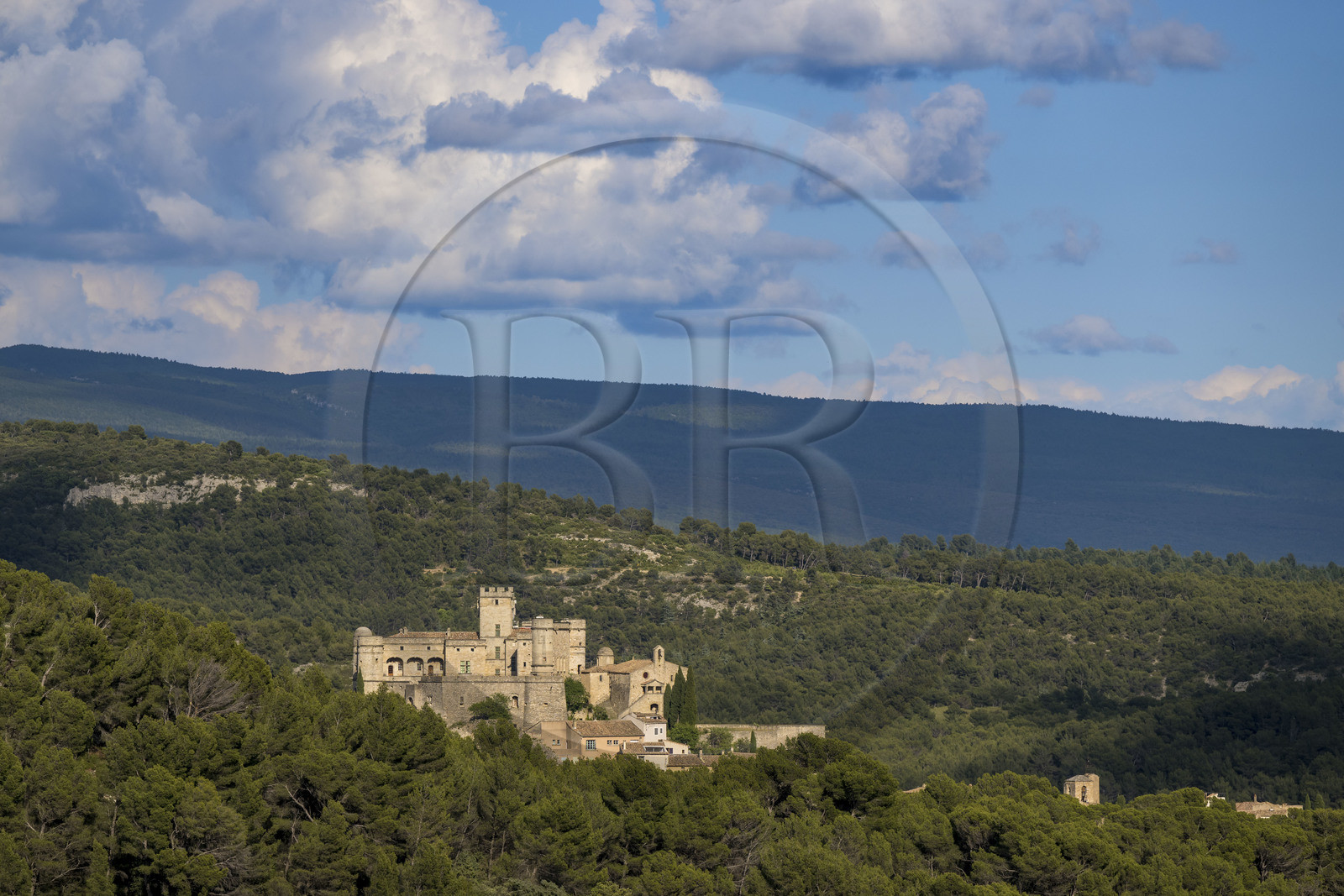 France, Vaucluse (84), Dentelles de Montmirail, Le Barroux, le chateau du Barroux émergeant de la forêt