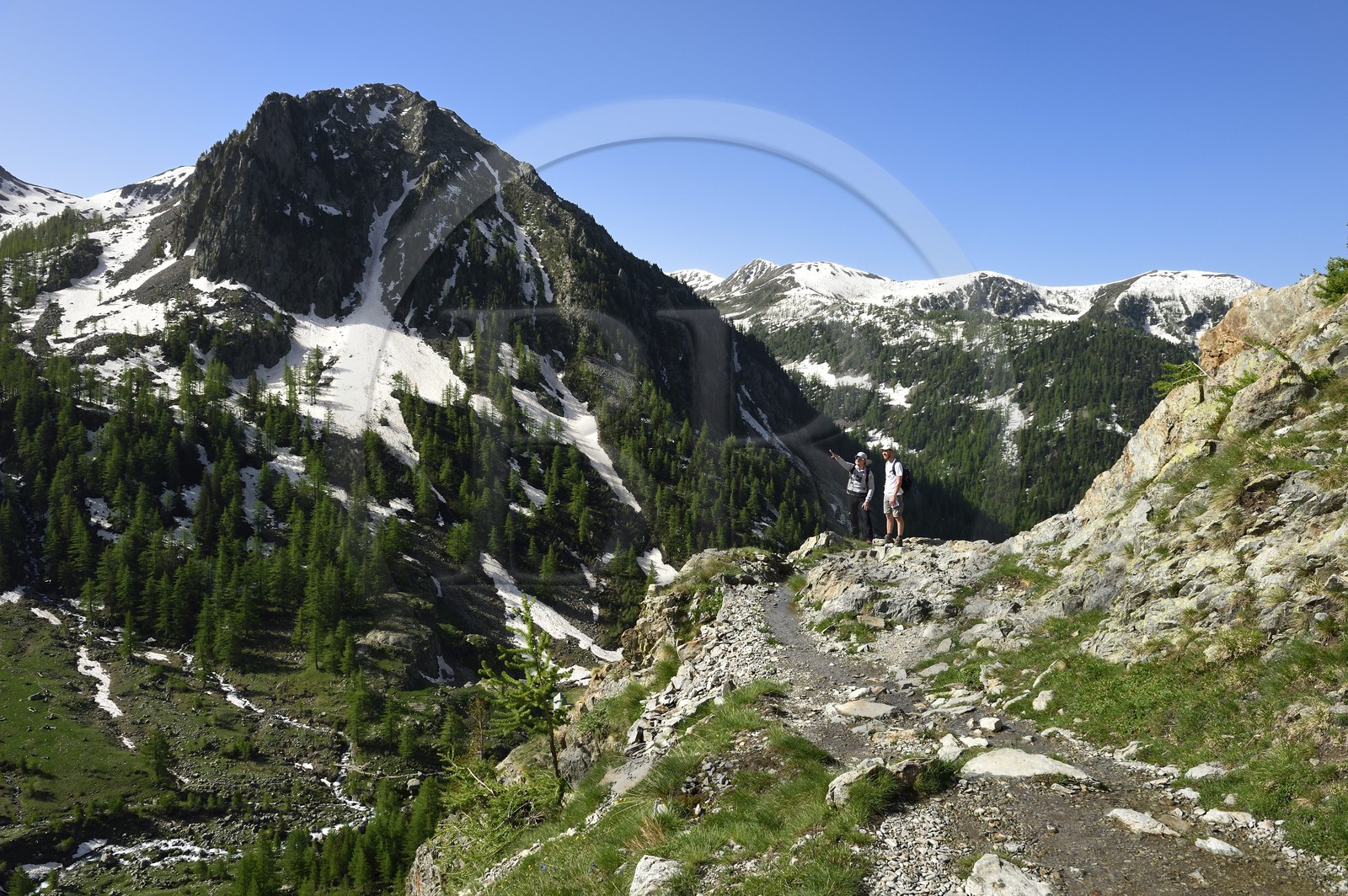 France, Alpes-Maritimes (06), parc national du Mercantour, Haute-Vésubie, randonnée dans le vallon de la Madone de Fenestre