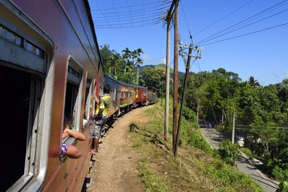 Sri Lanka, Province d'Uva, trajet en train dans la région montagneuse de la culture du thé entre Badulla et Ella, passager accroché aux portières