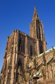 France, Bas-Rhin (67), Strasbourg, vieille ville classée au Patrimoine Mondial de l'UNESCO, la cathédrale Notre-Dame, arcs-boutants de la facade sud et nid de cigogne