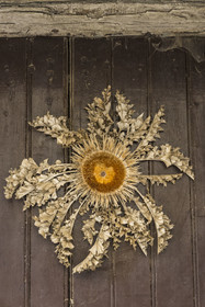 France, Aveyron (12), Causses et les Cévennes, paysage culturel de l'agro-pastoralisme méditerranéen, classés Patrimoine Mondial de l'UNESCO, Sainte-Eulalie-de-Cernon sur la route de Saint-Jacques-de-Compostelle, carline acaule ornant une porte de maison