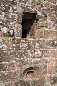 France, Bas-Rhin (67), Parc naturel régional des Vosges du Nord, Lembach, ruines du chateau de Fleckenstein