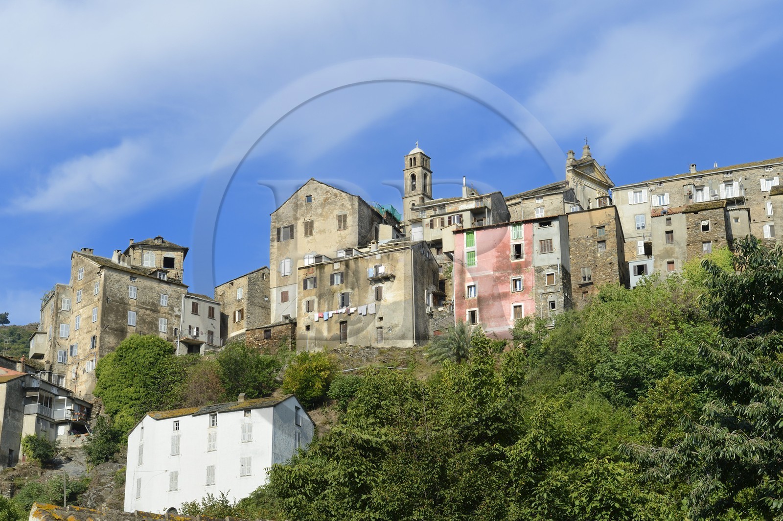France, Haute-Corse (2B), région de la Casinca en Castagniccia, village peché de Vescovato
