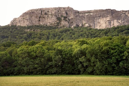 France, Var (83), Plan-d'Aups-Sainte-Baume, parc naturel régional de la Sainte-Baume, Massif de la Sainte-Baume, la forêt domaniale nemeton est protégée depuis plusieurs siècles, en arrière plan la grotte sanctuaire de Sainte Marie-Madeleine à flanc de la falaise de 300m à l'aplomb du Saint-Pilon