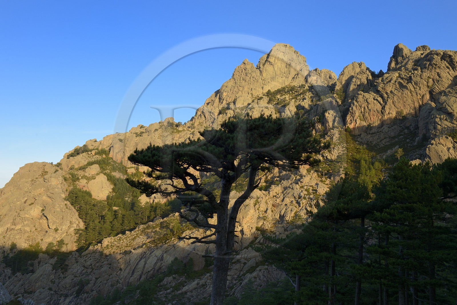 France, Corse-du-Sud (2A), Alta Rocca, Aiguilles de Bavella, variante alpine de l'étape du GR 20