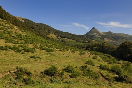 France, Cantal (15), monts du Cantal, Parc Naturel Régional des Volcans d' Auvergne, Saint-Jacques-des-Blats sur le chemin de Saint-Jacques de Compostelle par la Via Arverna, la vallée de la Cère et le Puy Griou (1694m)