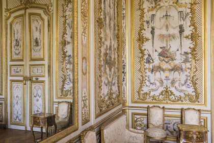 France, Oise (60), Chantilly, le chateau de Chantilly, la Grande Singerie