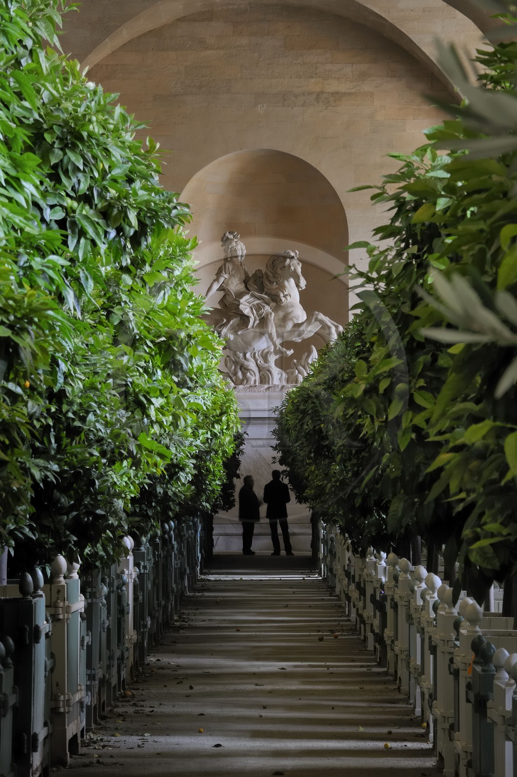 France, Yvelines (78), château de Versailles, classé Patrimoine Mondial de l'UNESCO, l'Orangerie en hiver de Jules Hardouin-Mansart