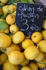 France, Alpes-Maritimes (06), Menton, marché couvert, halle municipale, le citron de Menton