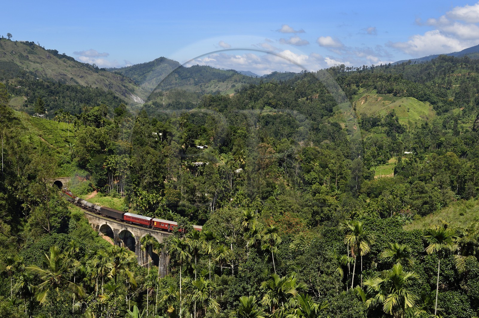 Sri Lanka, Province d'Uva, train sur la voie de chemin de fer dans la région montagneuse de la culture du thé entre Badulla et Ella, le Pont aux Neuf Arches (1921) non loin de Ella