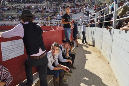 France, Bouches-du-Rhône (13), Arles, la course camarguaise  de la Cocarde d'Or aux Arènes