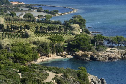 France, Var (83), Ile des Embiez vue depuis la Pointe du Coucoussa, la plage du Coucoussa