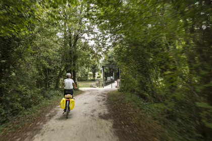 France, Charente-Maritime (17), Echillais, cycliste dans le Bois du Chay abordant la passerelle levante qui enjambe le canal Charente-Seudre (canal de la Bridoire)