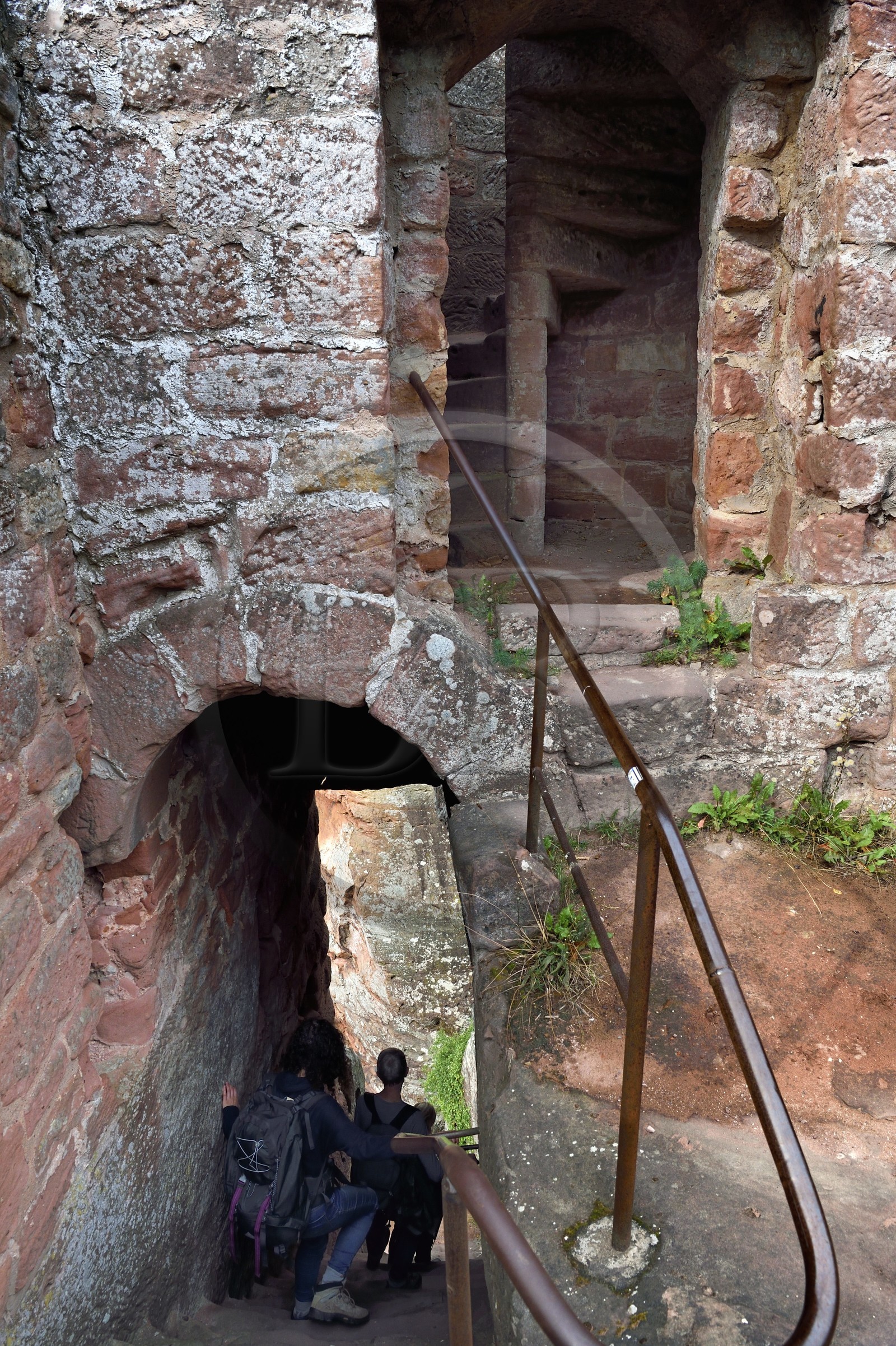France, Bas-Rhin (67), Parc naturel régional des Vosges du Nord, Niedersteinbach, foret domaniale de Steinbach, ruines du chateau de Wasigenstein