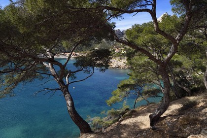 France, Bouches-du-Rhône (13), Marseille, Parc national des Calanques, Calanque de Sormiou