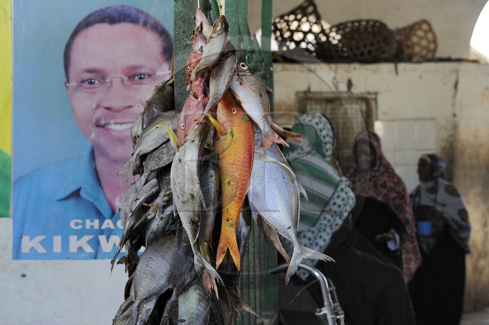 Tanzanie, Zanzibar, Stown Town, le marché de Darajani, marché au poissons