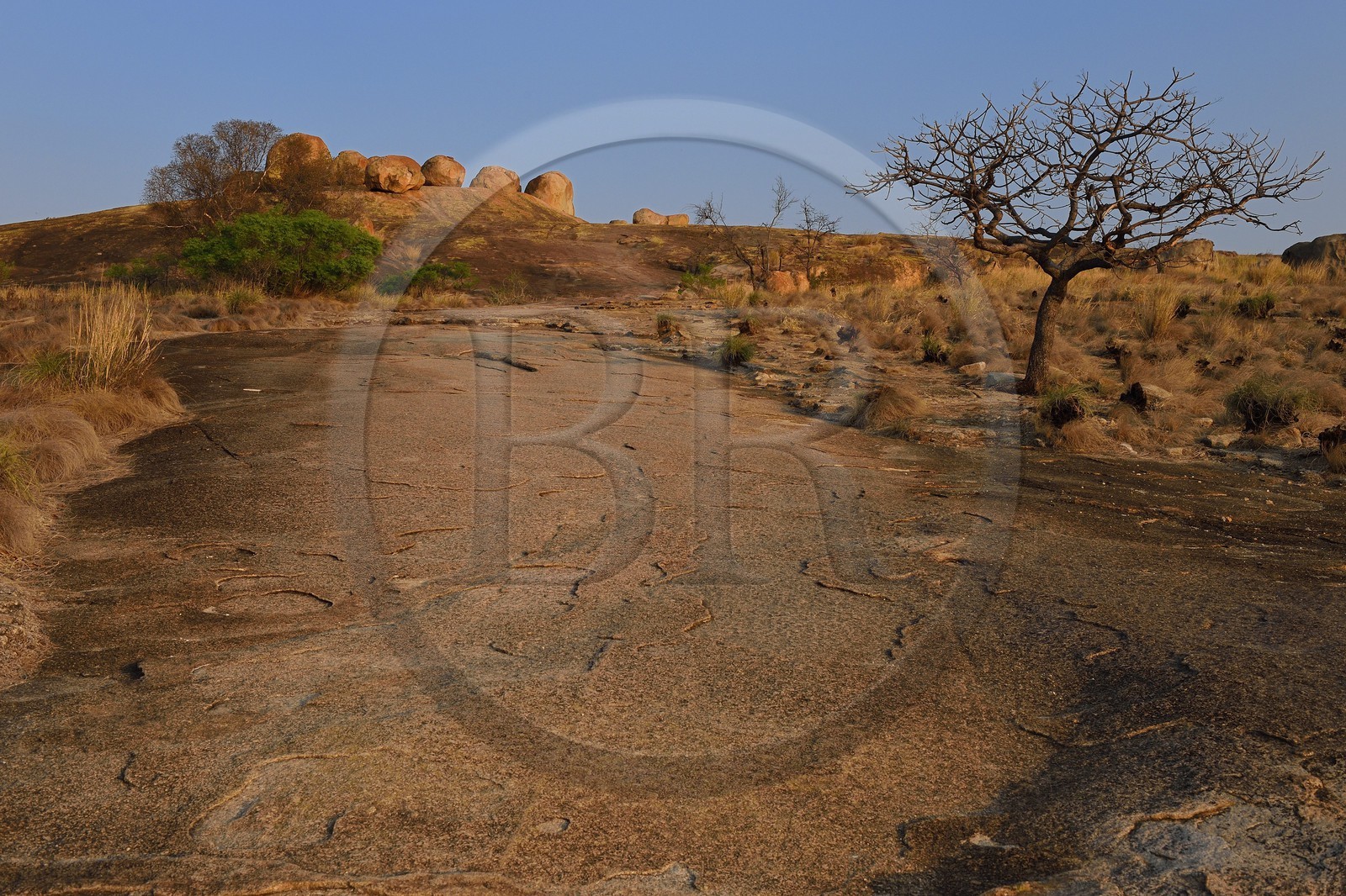 Zimbabwe, province de Matabeleland méridional, Matobo ou Matopos Hills National Park, classé Patrimoine Mondial de l'UNESCO, formations rocheuses sur la colline de Malindidzimu (demeure des esprits bienveillants) au sommet de View of the World où est enterré Cecil Rhodes