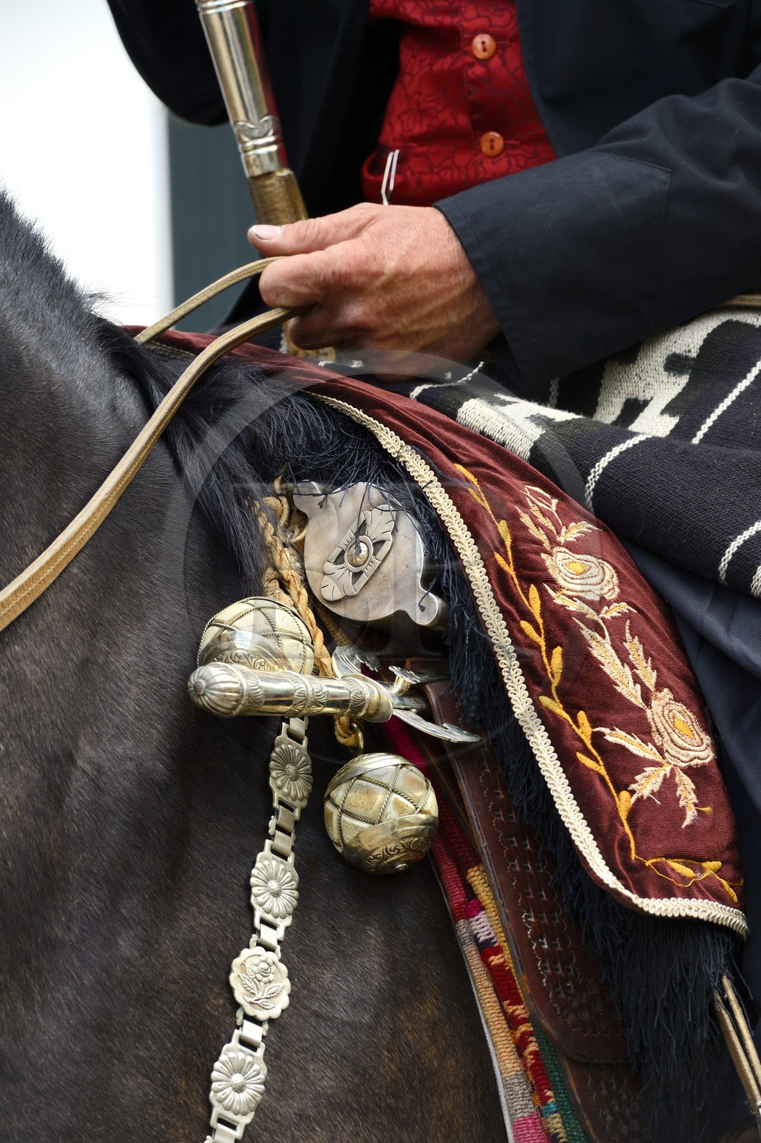Argentine, province de Buenos Aires, San Antonio de Areco, fête du Jour de la Tradition (Dia de la Tradicion), détail de la sellerie et les bolas (ou boleadoras) accrochés à la selle